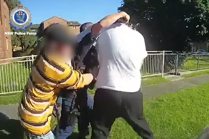 assaulting a police officer